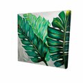 Fondo 16 x 16 in. Three Big Exotic Plant Leaves-Print on Canvas FO2790790